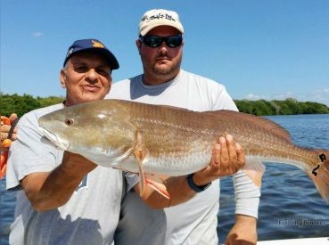 Florida Reels Fishing Charters – Apollo Beach