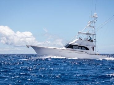 Apex Kauai Luxury Sport Fishing Charters–A/C