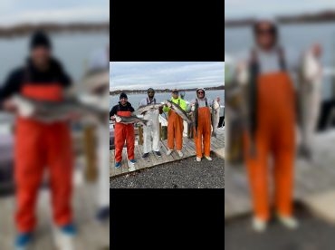 Tuna Homicide Fishing Charters