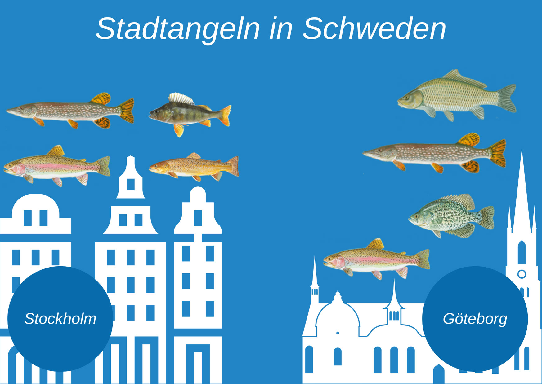 Die Infografik zeigt die Top-Arten, die in Göteborg und Stockholm in der Stadt gefangen werden können, darunter Hecht, Barsch, Lachs und Karpfen