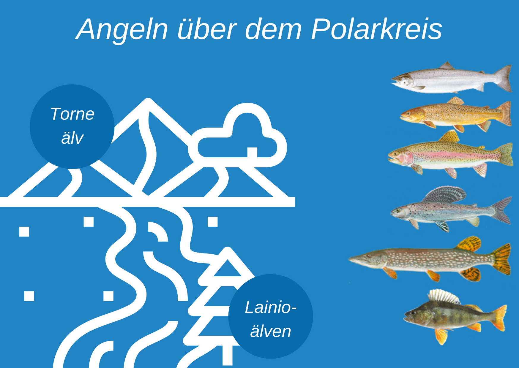 Eine Infografik mit Arten, die am Polarkreis gefangen werden können: Barsch, Hecht, Forelle, Lachs und Äsche sowie die Top-Fischgründe, die Flüsse Tornio und Lainio