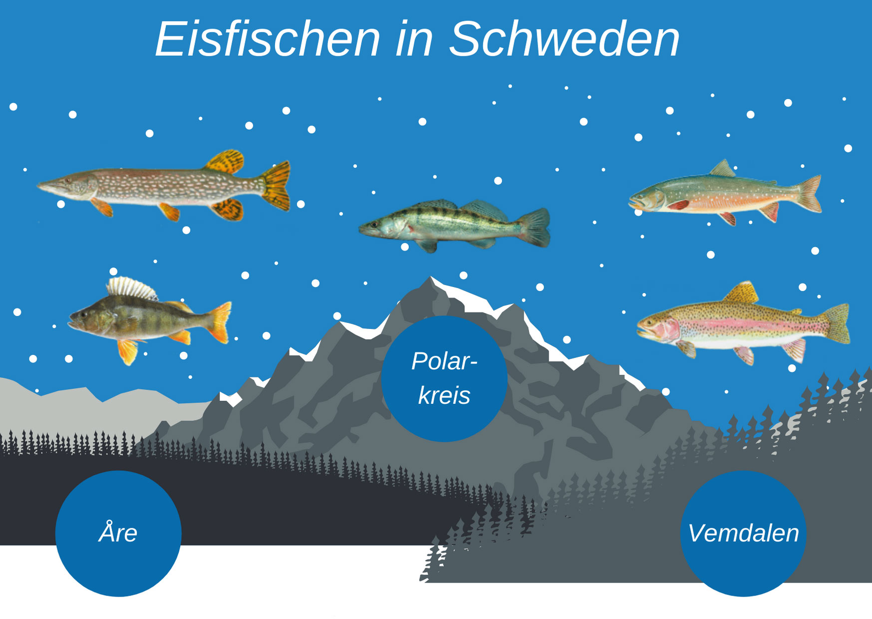 Eine Infografik mit den Top-Fischgründen Are, Polarkreis und Vemdalen sowie den Top-Arten Hecht, Zander, Lachs, Barsch und Saibling
