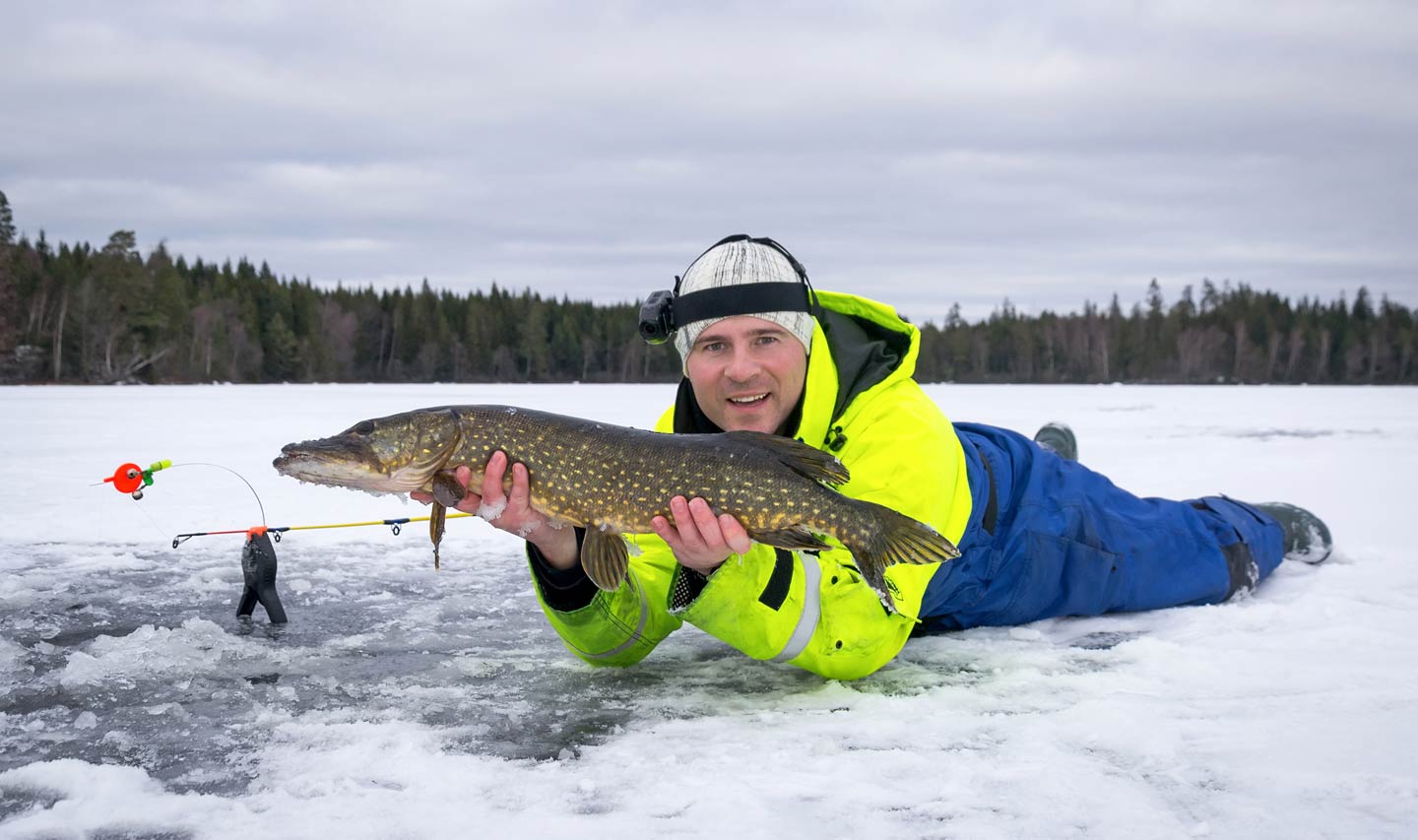 Ein Mann hält einen Hecht auf einem zugefrorenen See in Mittelschweden