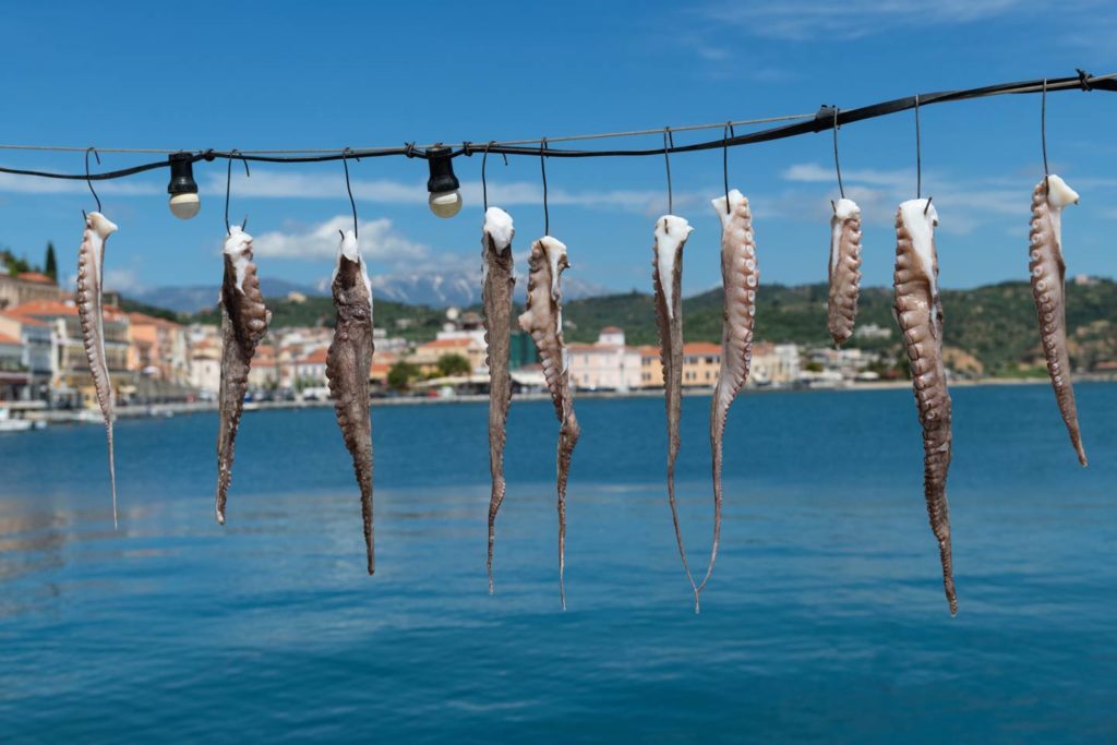 Tintenfisch Arme, die auf einer Leine in Griechenland mit Häusern und dem Meer im Hintergrund trocknen.